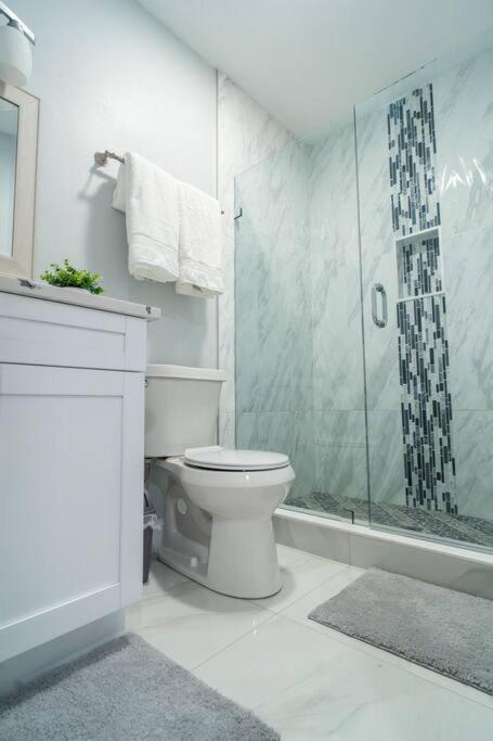 Grey Novo Studio + Free-Parking&Wifi Tampa Buitenkant foto