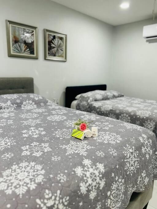 Grey Novo Studio + Free-Parking&Wifi Tampa Buitenkant foto