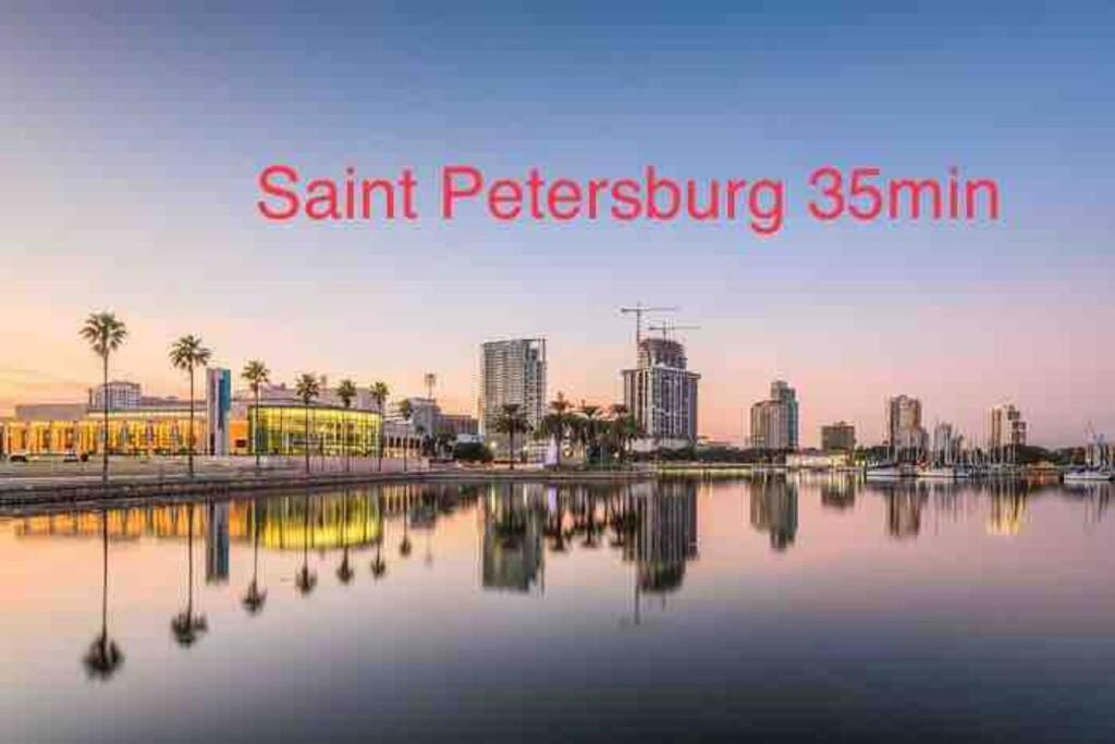 Grey Novo Studio + Free-Parking&Wifi Tampa Buitenkant foto