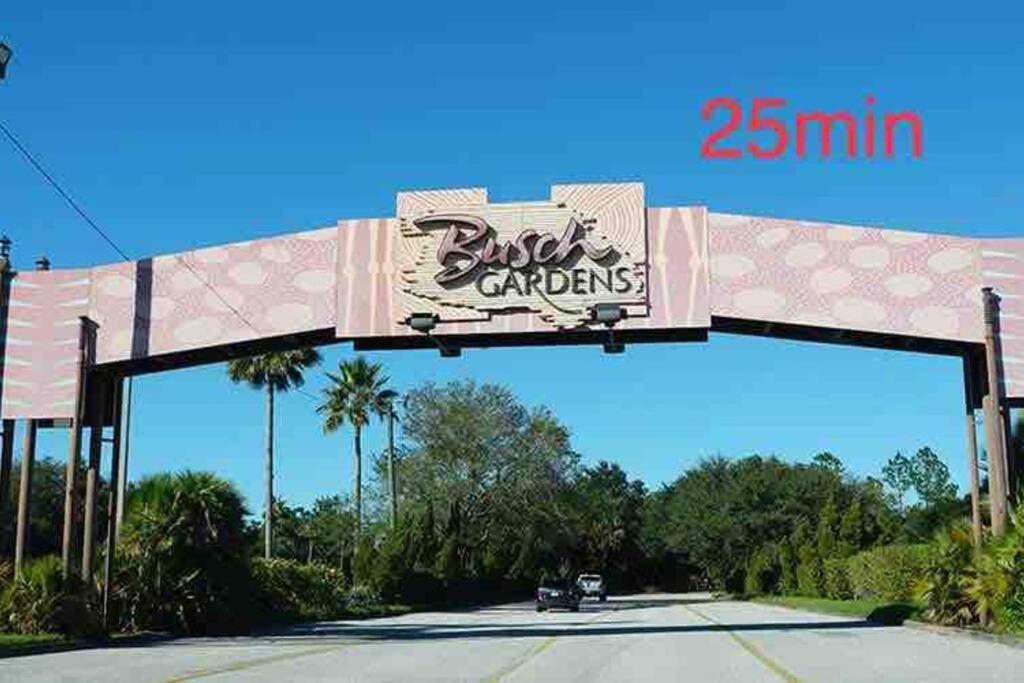 Grey Novo Studio + Free-Parking&Wifi Tampa Buitenkant foto