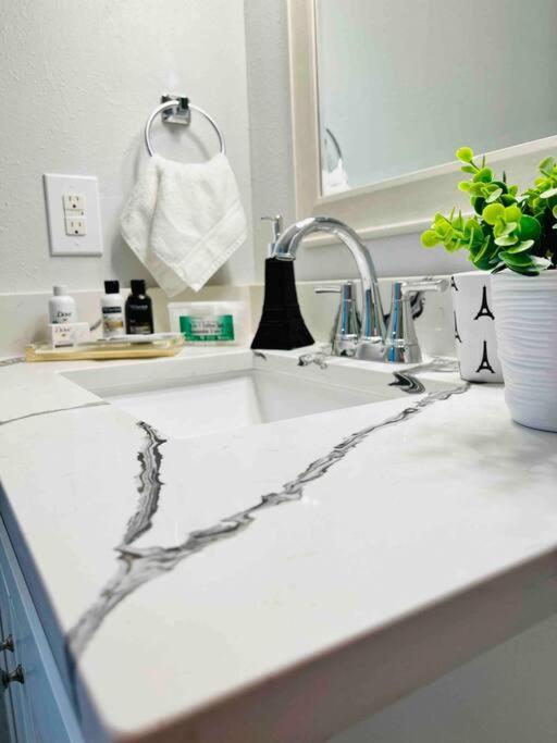 Grey Novo Studio + Free-Parking&Wifi Tampa Buitenkant foto